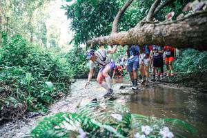 BIB: 
                            <button type="button" onclick="openModal(25465454)" class="btn btn-primary btn-sm float-right btn-popup" data-toggle="modal" data-target=".modal-high-quality">
                        <i class="fas fa-shopping-cart"></i> Add to Cart
                    </button>
                                            <button type="button" onclick="isThisMe(25465454, true)" class="btn btn-success btn-sm float-right btn-popup btn-isme hidden" data-toggle="tooltip" data-placement="bottom" title="นี่คือรูปของคุณใช่ไหม คลิกที่นี่เพื่อเอาเข้าอัลบั้ม">
                        <i class="fas fa-plus"></i> Add to album
                    </button>
                    <button type="button" onclick="isThisMe(25465454, false)" class="btn btn-warning btn-sm float-right btn-popup btn-isnotme hidden">
                        <i class="fas fa-ban"></i> Remove from album
                    </button>